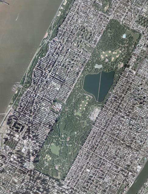 New York City Guide #5: Central Park