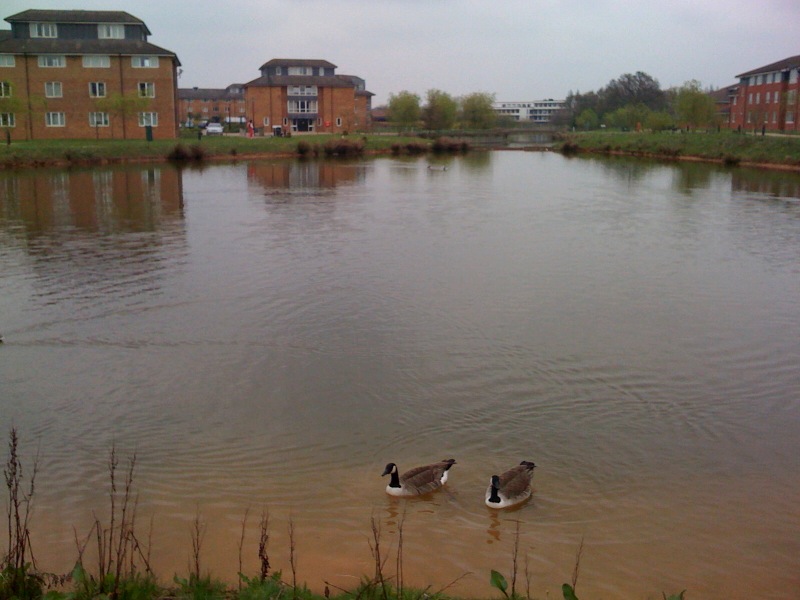 Warwick University