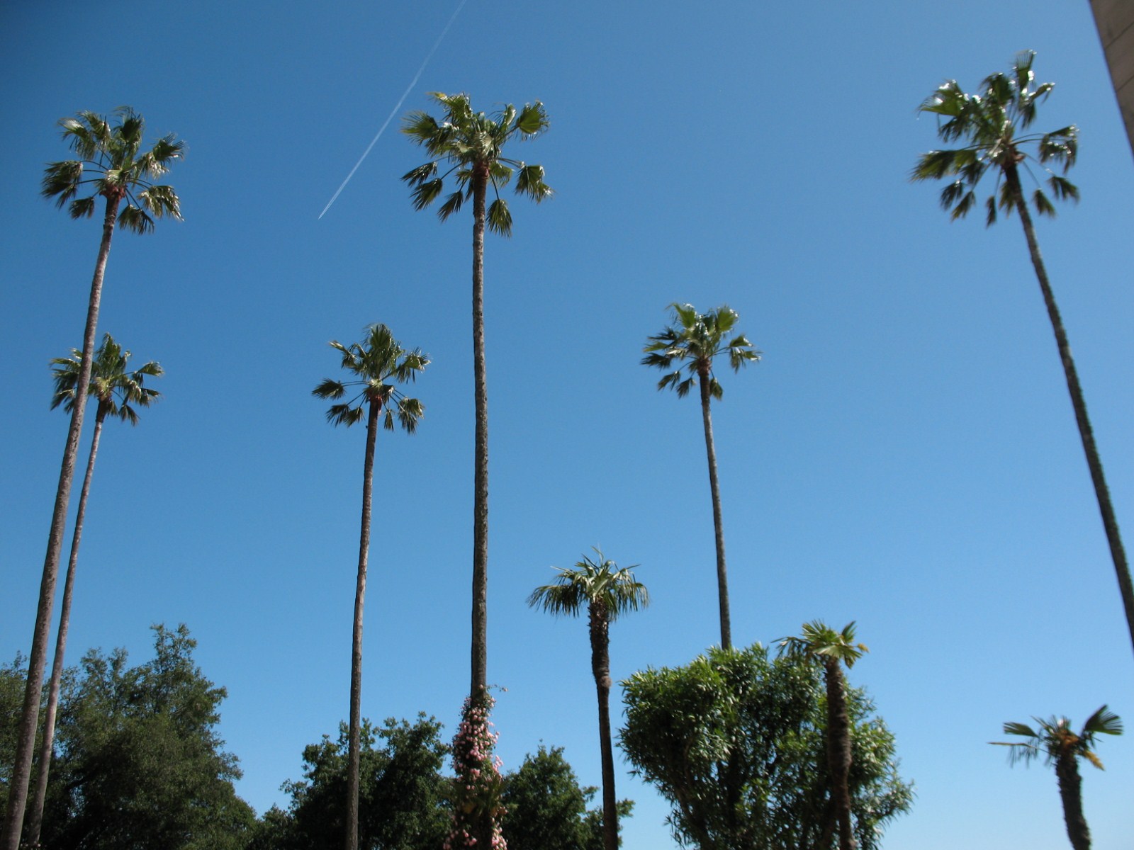Trip to LA